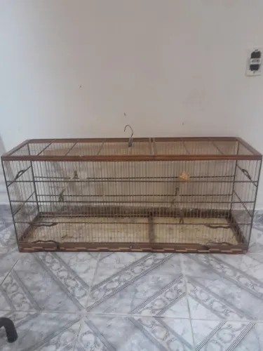 Voador um metro
