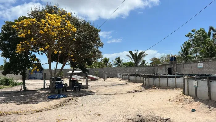 Sítio de 2700m² na raposa