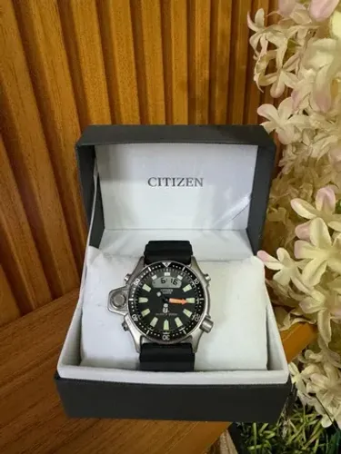 Relógio Citizen Aqualand
