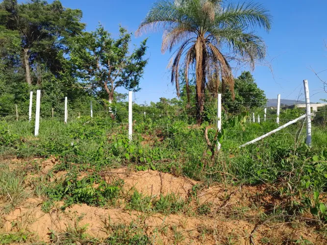 Lotes financiados em mateus leme