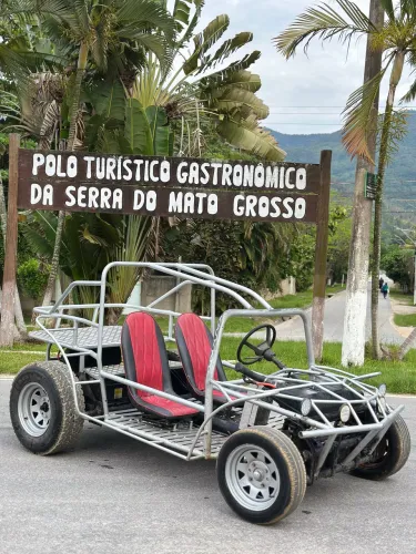 Gaiola tubular (ARANHA) bugre