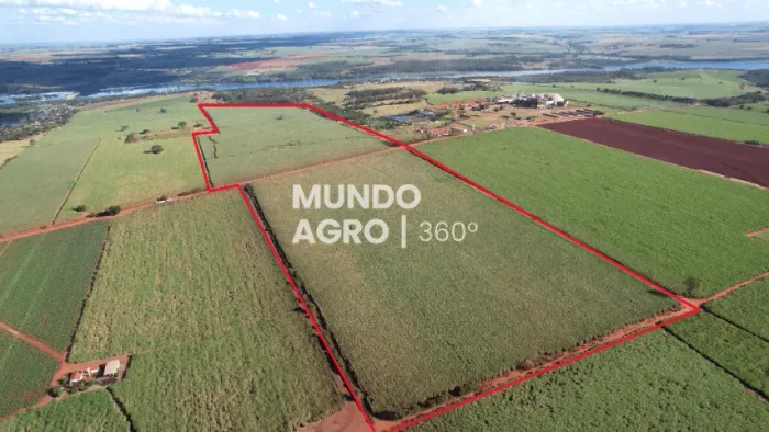 35 Alqueires 100% a 70 ton/ano