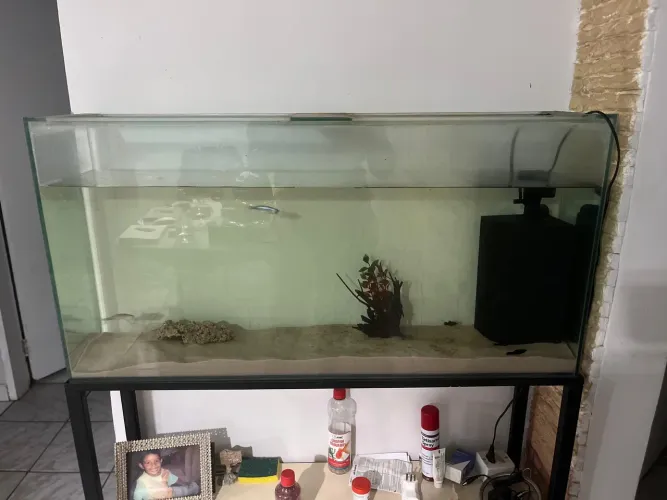 Aquário de 100 Litros (Completo com Filtro e Bombinha!)