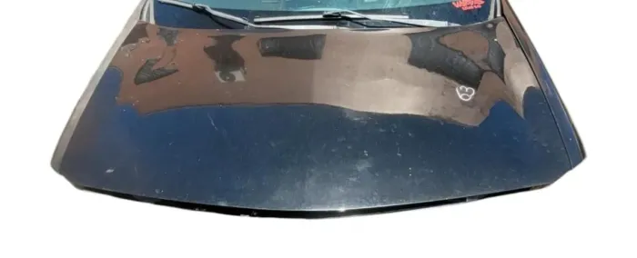 Capo Dianteiro Megane Dynamique 1.6 2007 Detalhe N63 (Usado)