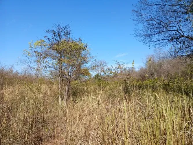  Terreno 50 hectares, Bacia Rio Verde (30 km de Montes Claros)