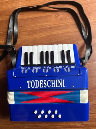 ACORDEON TODESCHINI PROSPERAR 8BXS PEQUENA 27X24X10 CM LEVE 2KG 2ª DE VOZ CORREIA COURO EC