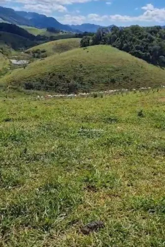 Fazenda à venda, 484 m² por R$ 3.200.000,00 - Zona Rural - Alfredo Chaves/ES