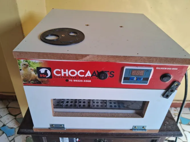 Disponível chocadeira automática com ovoscopia, e capacidade para 70 ovos