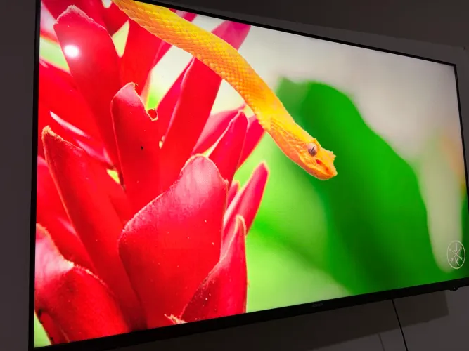 TV 4K 55 polegadas 