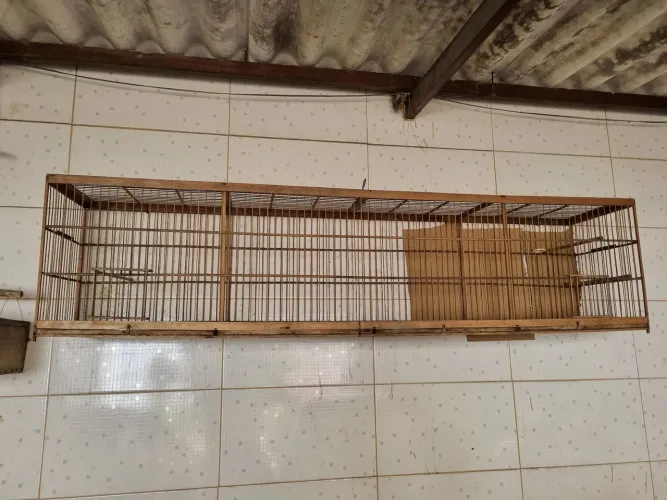 Voador de 2 metros