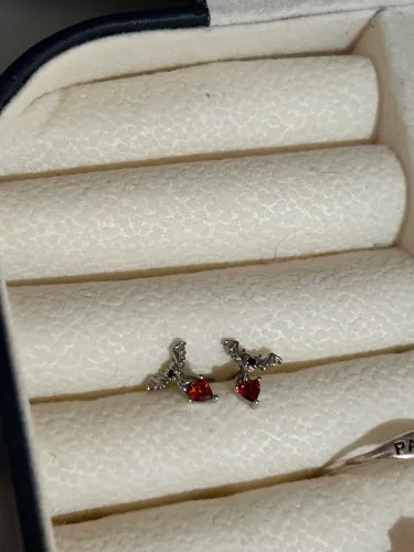 Brinco em aço inoxidável 