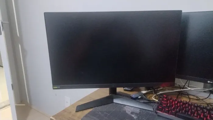 Monitor Gamer LG Ultragear 24 IPS