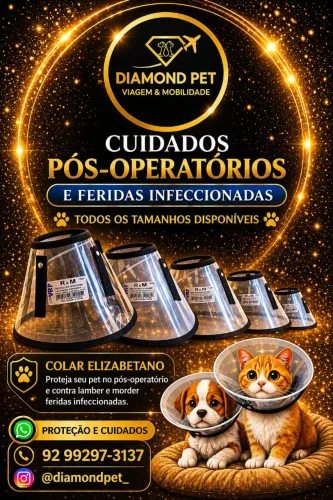 Colar Elizabetano pós cirúrgico