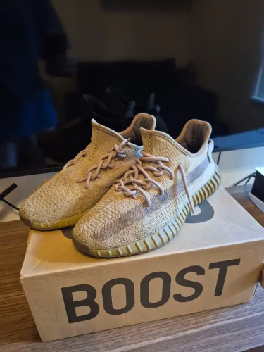 Adidas Yeezy boost 350 earth