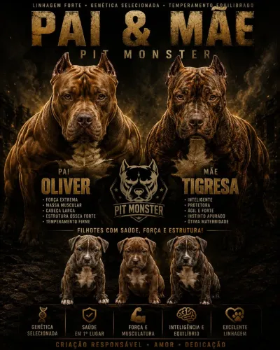 Filhote de pitmonster