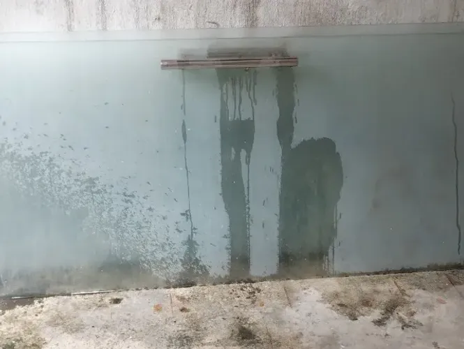 Porta de vidro com puxador de aço