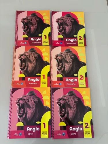 Lote 6 Apostilas Anglo Terceirão 3 Ano Ensino Médio Sociologia Filosofia Arte