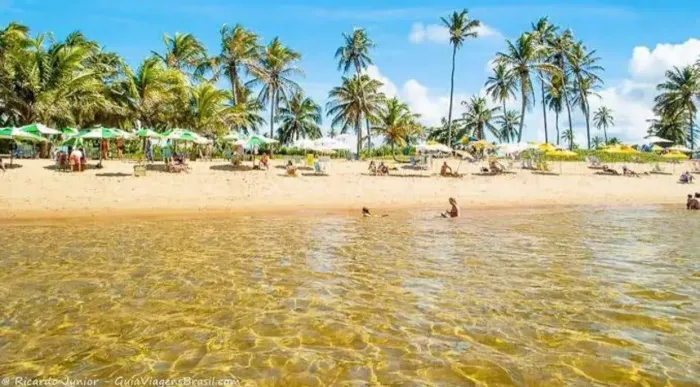 Village Duplex 1 Quarto Pé na Areia Praia do Forte Escriturado R$ 750 Mil