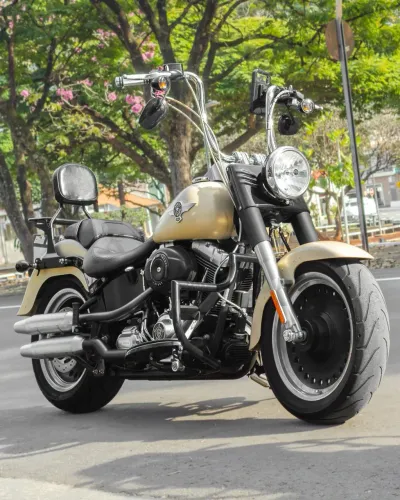 Harley-Davidson Softail Boy Low/ Special Flstfb