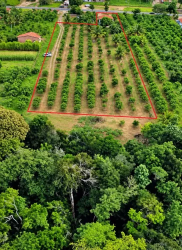 Vende-se Chácara com aproximadamente 6.100 m²