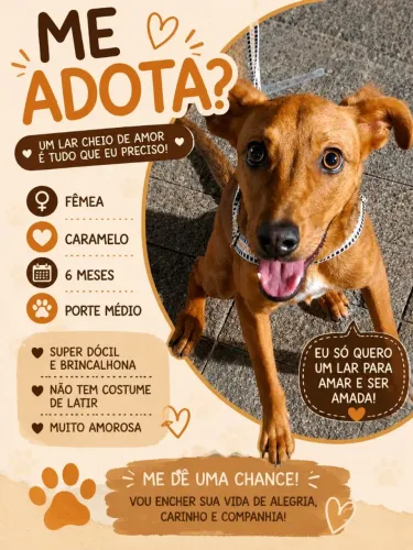 Doação Responsável