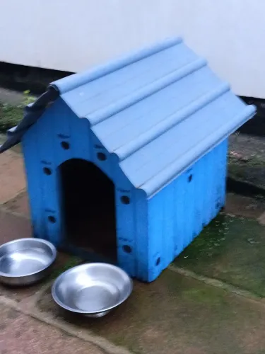 Ótima casa para cão com duas travessas de alumínio grátis 