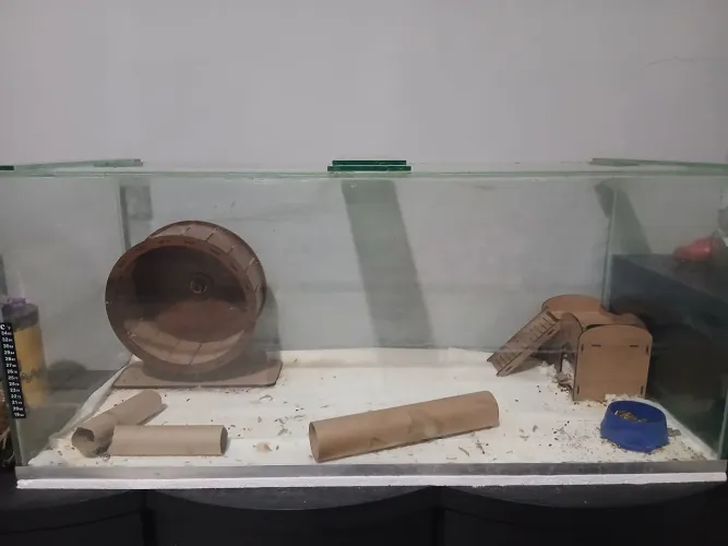 aquário 150 litros
