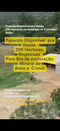 Fazenda Disponível pra Venda no Município de Cristalina. Goiás. 205 hectares. Registrada p