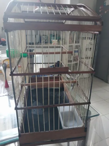 Vendo Gaiola Canario Belga