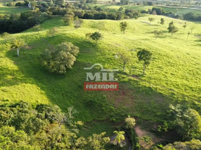 Fazenda próximo a Porangatu Go 56.4 alqueires (273 Ha)