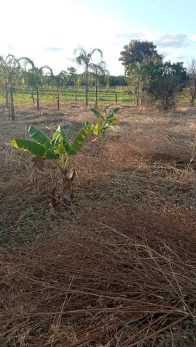 Chácara para morar e/ou lazer