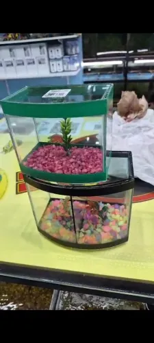 Acessórios pra pet