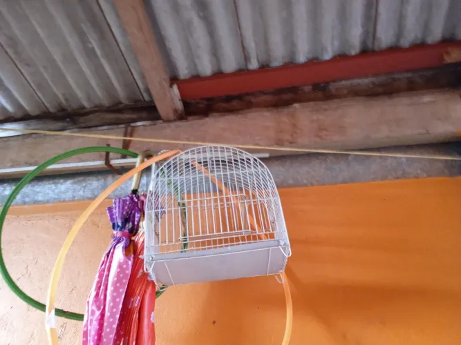 Vendo essa gaiola im perfeito estado