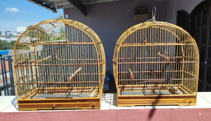 Gaiolas