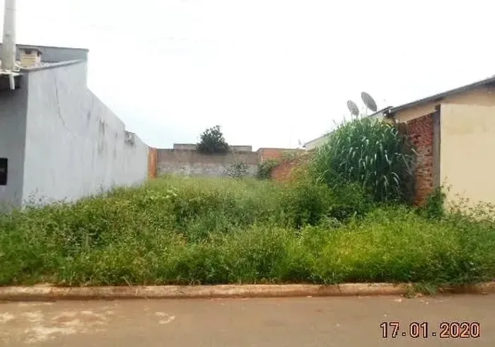 Serviço de limpeza e jardinagem 