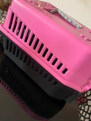 Casa pra pet e gatos