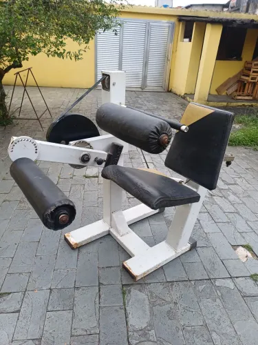 Cadeira Flexora de Anilha Gervasport - Usada