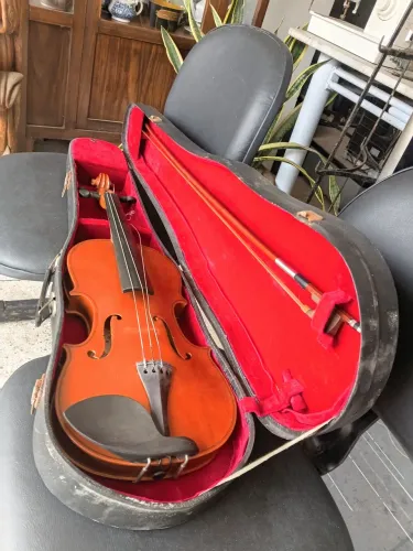 Violino