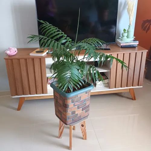 Palmeira Areca