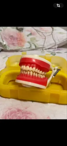 MANEQUIM DE DENTÍSTICA