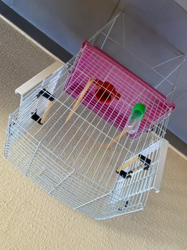 Vendo gaiola