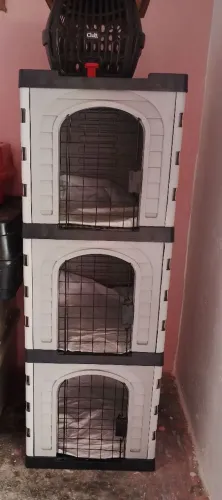 Gaiola Canil Espera Pet Shop Banho e Tosa