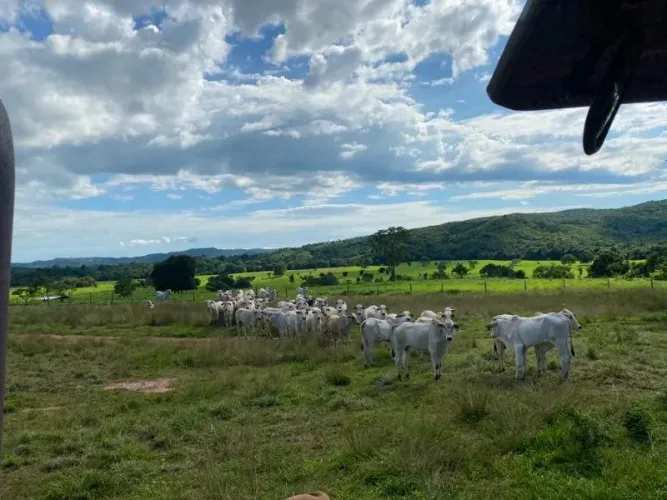 Fazenda Venda, 214 alqueires, Iporá Goiás, Israelândia Goiás, G0-060, Goiás, Goiânia