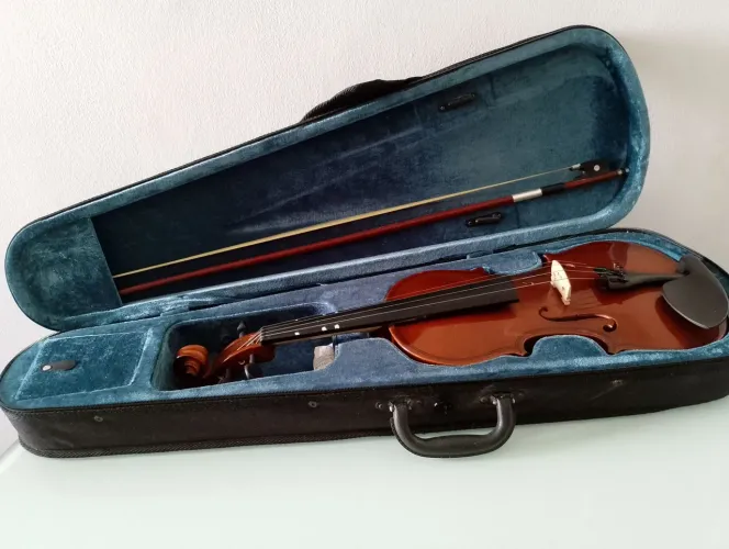 Violino 