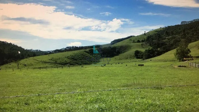 FAZENDA FORMADA PARA CORTE/LEITE EM LAGOINHA-SP