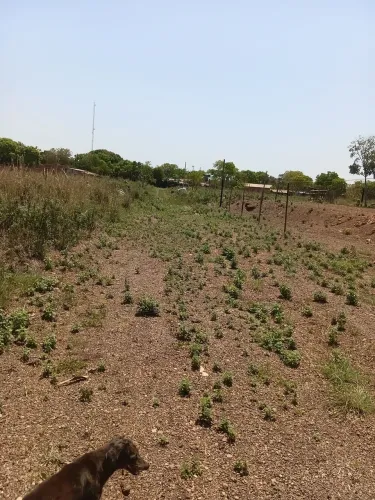 Lote São Mateus 