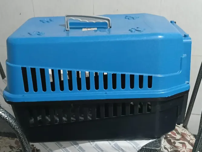 Caixa para trasporte de animais 