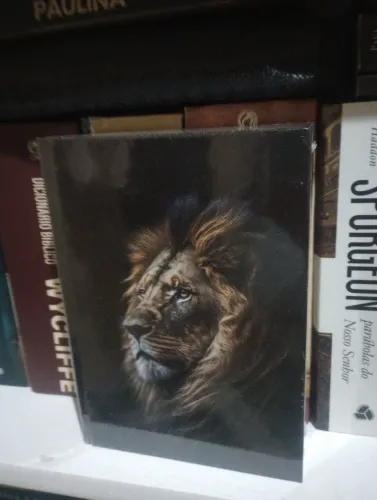 Bíblia