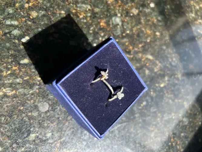 Conjunto Swarovski