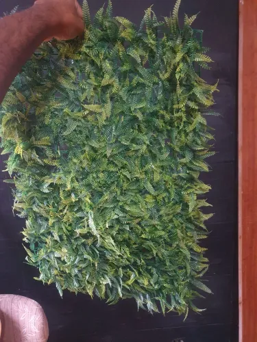 Planta Articial Parede